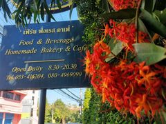 -Fern Forest Cafe