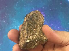 -志强陨石馆(双季花艺店)