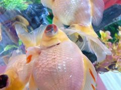 -宝龙广场(福州台江店)
