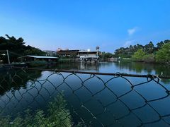 -伟记牛蹄(望牛墩店)