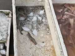 -青岛沙子口国家中心渔港