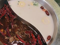 -麻田会 ·鲜活现烹·牛蛙火锅(珠江新城维家思广场店)