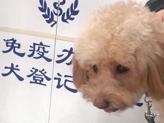 -申普宠物医院·眼科·心内科·影像科(普陀分院)