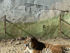 -栾川竹海野生动物园