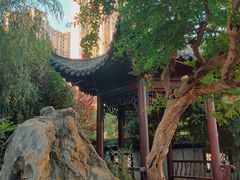 -不倒翁·徽天下名菜楼(马鞍山路店)