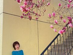 -三里屯东五街银杏大道