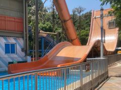 -重庆海昌加勒比海水世界