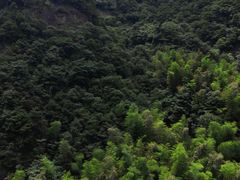 -宁波五龙潭景区