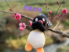 -中国茶叶博物馆(双峰馆区)