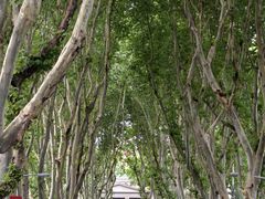 -东南大学(四牌楼校区)