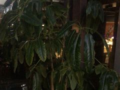 -忆咖啡观景餐厅(桂林象山公园店)