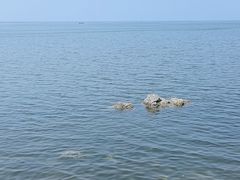 -养马岛旅游度假区