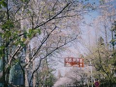 -鸡鸣寺