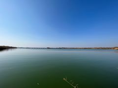 -南湖湿地公园