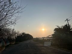 -成都安仁福朋喜来登酒店