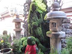 -Hōzen-ji Temple法善寺