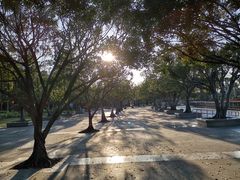 -白鹭洲公园