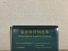 -宁夏博物馆