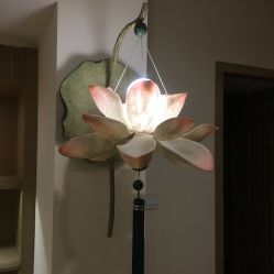 -嘉悦瑜伽会所