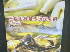 -石岐乳鸽村(南海第三分店)
