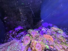 -成都浩海立方海洋公园