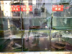 -干老四雅鱼饭店(滨江西路店)