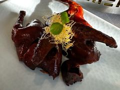 红烧乳鸽-顺峰(农展馆店)