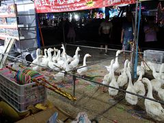 -东戴河风景区-止锚湾