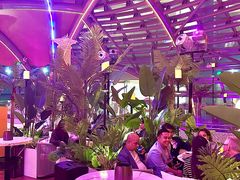 -广州富力君悦大酒店空中花园