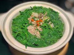 上湯桑葉-炳胜品味(海印总店)