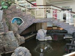 -五洲妇儿医院