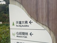 -天坛大佛