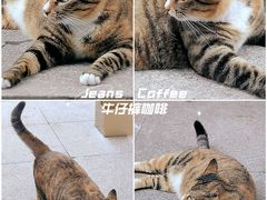 -Jeans Coffee牛仔裤咖啡