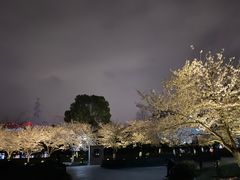 -堤角公园