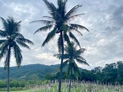 -三亚南山文化旅游区