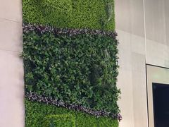 -VIP 威尔仕健身·游泳(嘉华中心店)