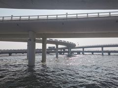 -演武大桥观景平台