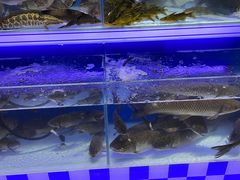 -海大大蒸汽海鲜餐厅·粤菜·特色小炒(欢乐颂店)
