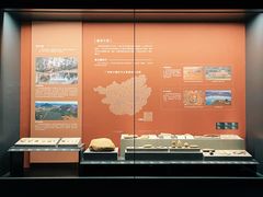 -广西壮族自治区博物馆