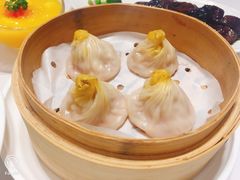 -新吉士·上海菜(浦东LCM置汇旭辉店)