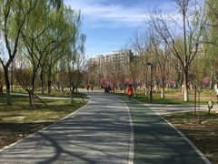 -回龙观体育文化公园