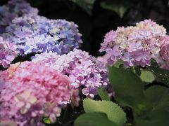 -城隍阁