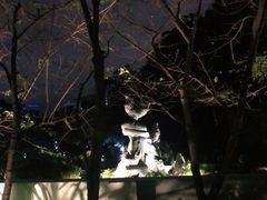 -金鸡山公园