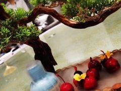 法式象形樱桃鹅肝-鹏湾.壹号