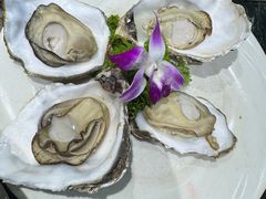 -小海豚•老字号海鲜餐厅(天涯店)