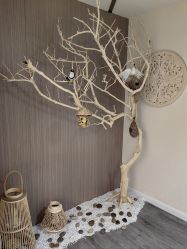 -悦尚生活空间•瑜伽普拉提•悦心芳香疗愈SPA