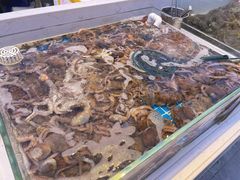 -集品鲜湾·蒸汽海鲜自助料理(青岛银座和谐广场店)