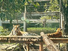 -昆明动物园