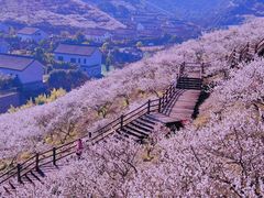 -原乡小镇度假乐园
