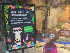 -正佳雨林生态植物园